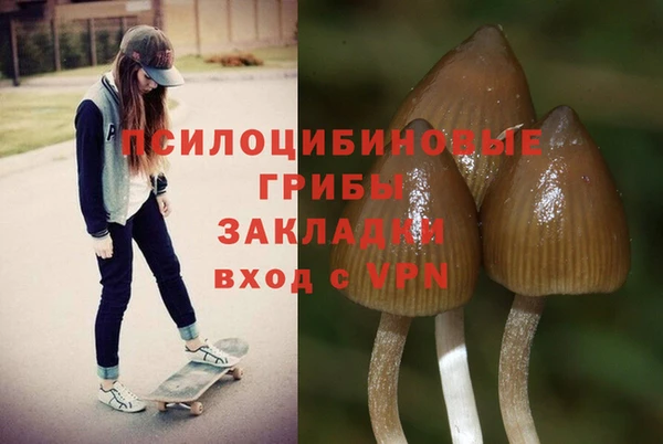 2c-b Балабаново