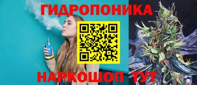 СК Краснознаменск