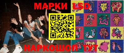 СК Краснознаменск