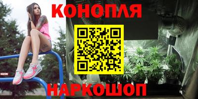 PSILOCYBIN Краснодар