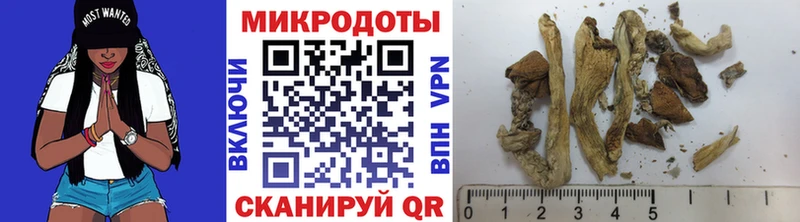 Галлюциногенные грибы мухоморы Гатчина