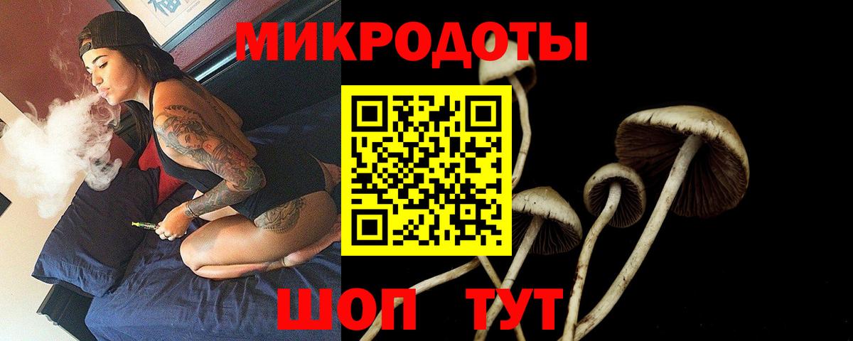 Псилоцибиновые грибы прущие грибы  Вход с VPN  Гатчина 