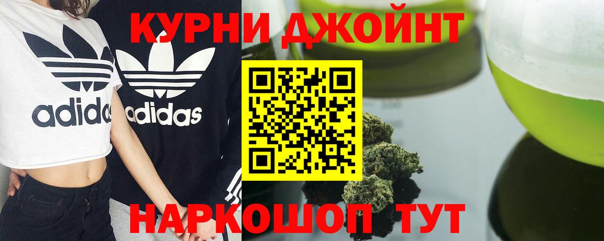 Конопля план Гатчина